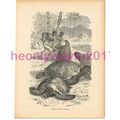 Catching Green Turtles, Victorian Natural Histo...
