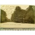 BRUXELLES - Bois de la Cambre - La Cloche CIR 1903
