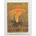 ZAMBIA 1984 MUSHROOM FUNGI AMANITA FLAMMEOLA OR...