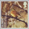 GB 2007 Action for Species Birds 1st Cirl Bunti...