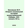 Zinoviev V.P. Essays on the social history of i...