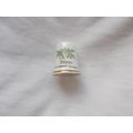 THIMBLE PISCES (16/10) #