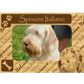 Spinone Italiano w Paws Engraved Wood Picture F...