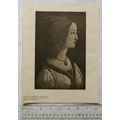 1903 illustration: Portrait ascribed to Botticelli