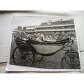 PRINCESS ALICE of GLOUCESTER AT THE RACES press...