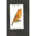 Cigarette Card Players Aviary & Caged Birds 193...