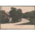Endcliffe Woods, Sheffield, Yorkshire, c.1905-1...