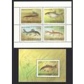 Kyrgyzstan Fish Catfish Loach Dace Osman Sheetl...