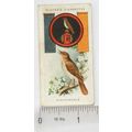 1933 Player's Boy Scout & Girl Guide Patrol Sig...