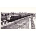 Railway Photo BR Class 45 45025 Peak Diesel Loco