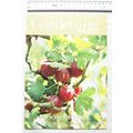 2001 Gardening Which - June