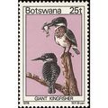 Botswana 1978 Birds 25t Giant Kingfisher Unmoun...