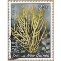 1983 - Bamboo Coral - 16797