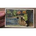 ETW Dennis Postcard -Pack Horse Bridge, Dunster...