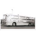 Black & White Photograph of Seamarks Brothers L...