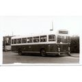 Black & White Photograph of Newport Corporation...