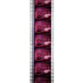 Pk GEB - B - MIX - b 052Z. 1 STRIP OF 5 - 35MM ...