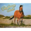 Chincoteaque Island with Horse Virginia Fridge ...