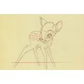 Bambi Original Sketch Creation Artist Drawing W...