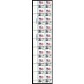 1894, MNH 20¢ Misperforated Freak Error Part Pe...