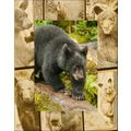 Black Bear Laser Engraved Wood Picture Frame Po...