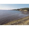 Saundersfoot Harbour Pembrokeshire Postcard pos...