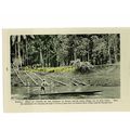Baram River Village, Borneo, Book Illustration ...