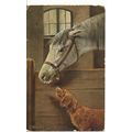 PC18184 Old Painting. Horse and Dog. Hildesheim...