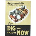 OPIE PUBLISHED WW11 DIG FOR VICTORY NOW INC UK ...