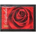 AUS 2006 50c 'ROSES' FINE USED (EBID14983)