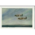 Aviation GRUMMAN MARTLETS Art Postcard by Photo...
