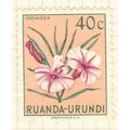 Ruanda 1953 - 40c multi - Ipomoea - MH