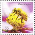 GERMANY, INSECT, Honey Bee, Apis mellifica, lilac 2010, 0.55