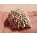 E Desert Rose Gypsum 1.625 Inch Raw Rough Stone...