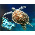 Virginia Beach with Sea Turtle Fridge Magnet