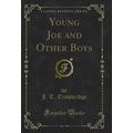 Young Joe and Other Boys (Classic Reprint)