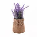 Faux Purple & Green Leaves Plant in a Hessian B...