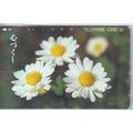 Common Daisy Japan NTT Phone Card