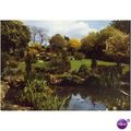 GLC Parks Department Postcard - Horniman Garden...