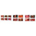 Mi MH 4662/75: Greetings Stamps: Holidays.