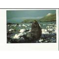 Animals BULL ANTARCTIC FUR SEAL Postcard by Sou...