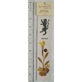 Unopened dried flowers bookmark - Scotland