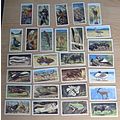 28 vintage original 1963 Brooke Bond Tea cards ...