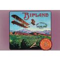 Fay Orange Fruit Company Biplane California Advertising Postcard