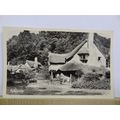 Selworthy, Exmoor, Somerset, England, Postcard