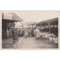 RP Cattle Market Crowe Street Stowmarket Suffol...