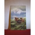 IN FROM THE SEA, HIGHLAND CATTLE by Pike unused...