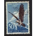 Yugoslavia Lammergeier Bird 1954 Canc SG#771 MI...