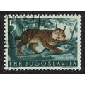 Yugoslavia Lynx Wild Animal 1954 Canc SG#766 MI...