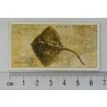 1935 Players Sea Fishes No. 8 Thornback Ray